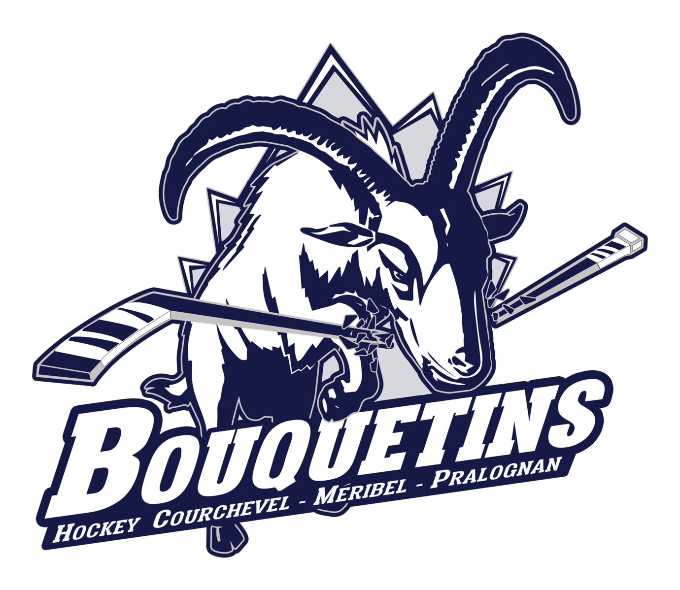 Bouquetins HCMP