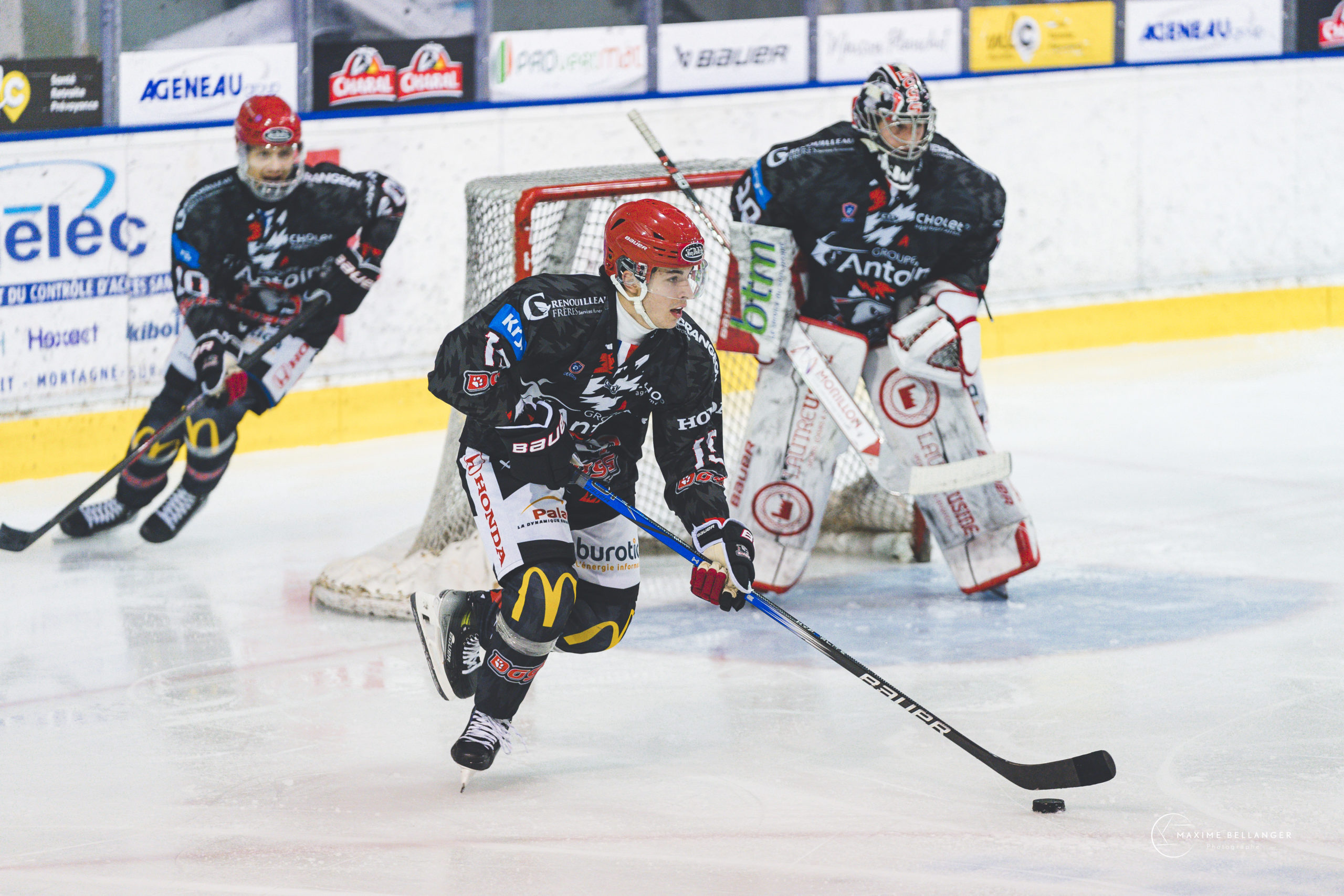 Dogs VS Chambery ©Maxime Bellanger 11 janvier 2025 A092992